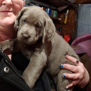 Meet your Posher, Beth